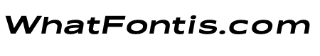Kinetic - Bold Oblique