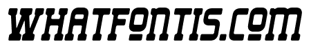 Liong-Italic