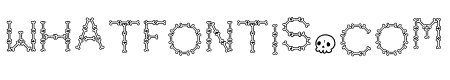 NN Bone Outline