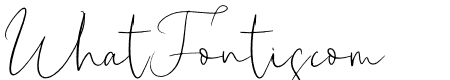 New York Signature