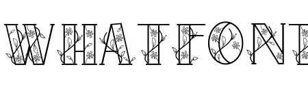 AVIES FLOWER