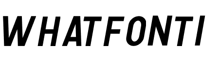Human Bold Italic