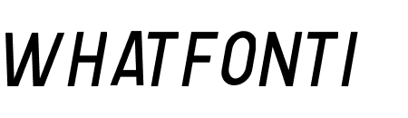 Human Regular Italic