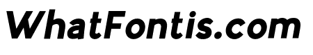 Airfly Regular Italic