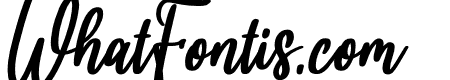 hello bella bold italic Bold Italic