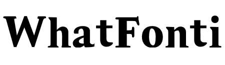 NN Retro Serif