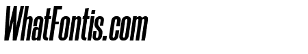 Morganite Bold Italic