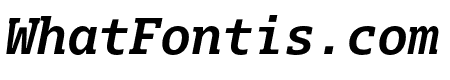 Dico Mono Slab Bold Italic