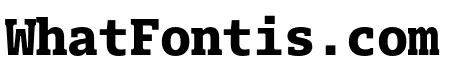 Dico Mono Slab ExtraBold
