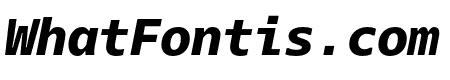 Dico Mono ExtraBold Italic