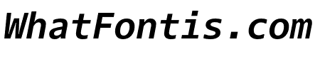 Dico Code Two Bold Italic