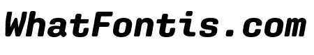 Aglet Mono Bold Italic
