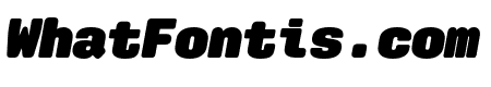 Aglet Mono Ultra Italic