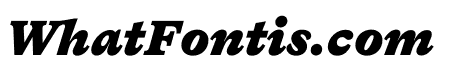 Bradford Black Italic