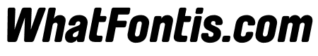Brauer Black Italic