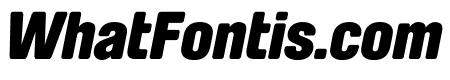 Brauer ExtraBlack Italic