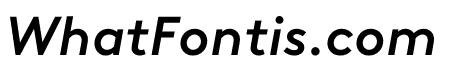 Brown Cyrillic Medium Italic