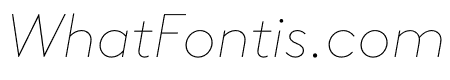 Brown Paneuro Thin Italic
