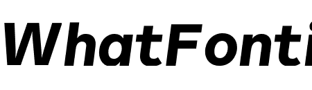 Lettera Text Black Italic