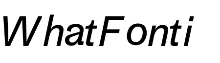 Medium Book Italic
