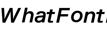 Riforma Medium Italic
