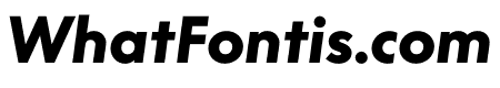 Supreme Black Italic
