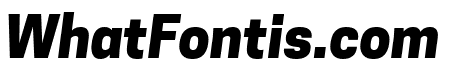 Tanohe Sans ExtraBold Italic