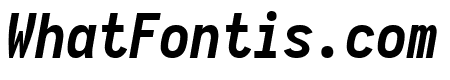 Aardvark Fixed Bold Italic