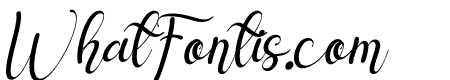 Delyna Italic