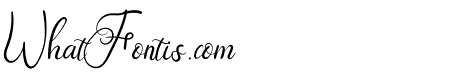 Augustine Heart