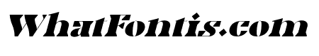 Cake Black Font Italic