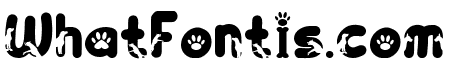 Paw Pow Regular
