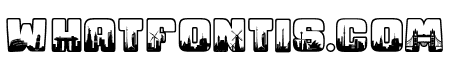 City Tour Travel Regular
