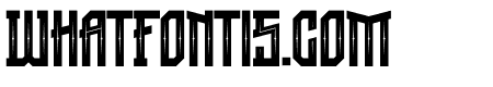 GRVS-Tronical Decorative