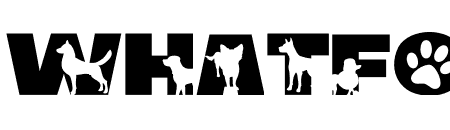 BOKDOG