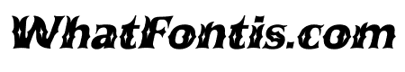 Queen Mestalla Italic