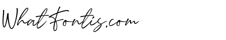 BrightSignature