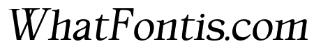 Magilla-Italic