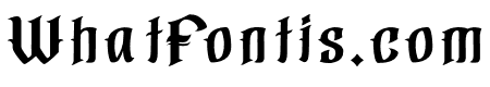 Gorillabeer-Gorillabeerbase