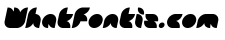 Snow Mask Bold Italic