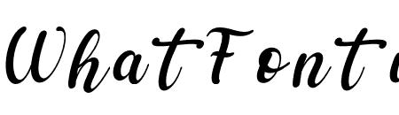 shelya Italic