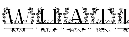 Monogram Handdrawn Vine