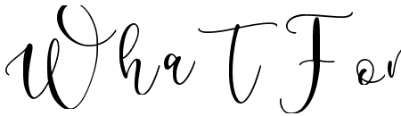 Selomitta