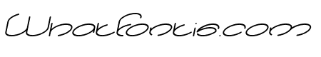 lanitta Italic