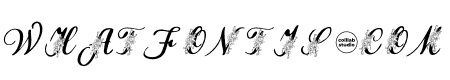 Wedding Monogram FOnt