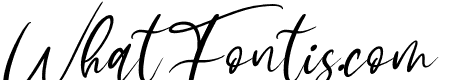 Sophitta Italic