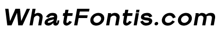 S6 Sans Bold Italic