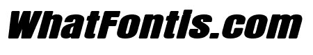 Cate Black Italic