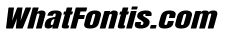 Cate Bold Italic