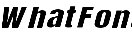 Cate Medium Italic